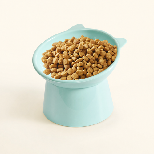 Tilted Raised Cat Bowl (Flat-Faced Friendly)