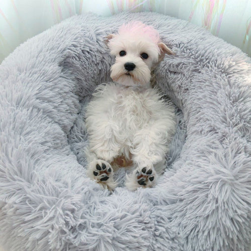 Dog relaxing in calming donut pet bed
