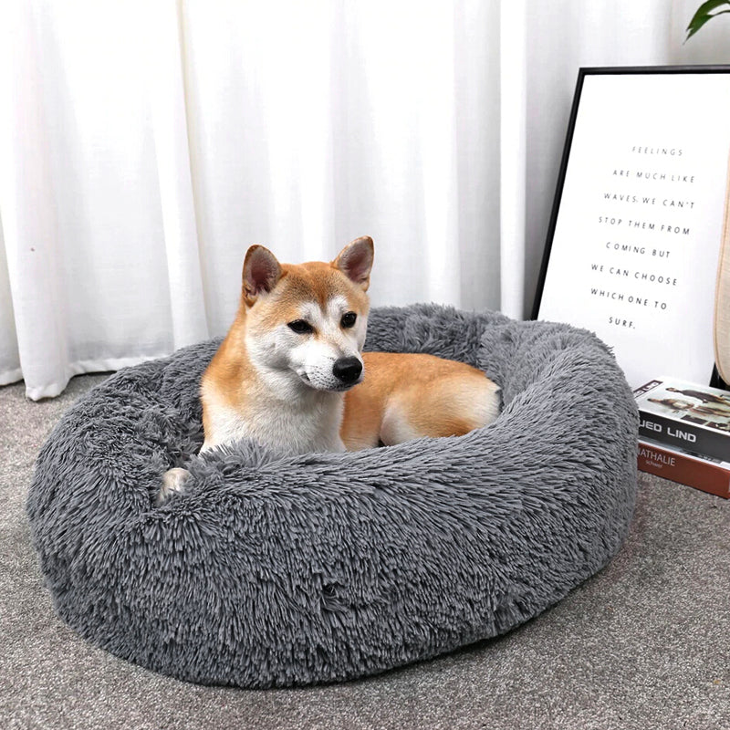 Shiba inu resting in grey donut pet bed